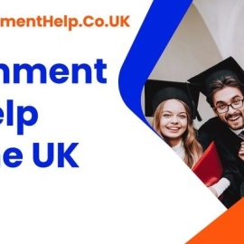 Assignment Help UK - No1AssignmentHelp.Co.UK