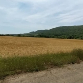 19021 Sqm Investment Land Near Sunny Beach Bulgaria 