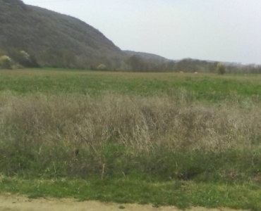 FOR SALE 11,484 Sqm Building Plot  By Owner Near Sunny Beach Bulgaria